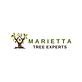 Marietta Tree Experts in Marietta, GA Tree & Shrub Transplanting & Removal