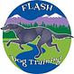 Flash Dog Training Broomfield Colorado in Broomfield, CO Animal Training