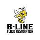 B-Line Flood Restoration in Mckinney, TX Flood Assistance