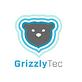 Grizzly Tec, in Spring, TX Home Security Services