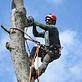 AsadTree Service in Knoxville, TN Tree Service Equipment