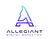 Allegiant Digital Marketing in Downtown - Austin, TX