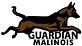 Guardian Malinois in China Spring, TX Pet Care Services