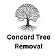 Concord Tree Removal in Concord, NH Tree & Shrub Transplanting & Removal