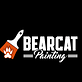 Bearcat Painting in Aledo, TX Painting Contractors