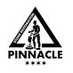 Pinnacle Stone Restoration in Lake Barrington, IL Floor Refinishing & Resurfacing