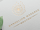 Dandelion Massage Boston, in Fenway-Kenmore - Boston, MA Massage Therapy