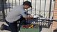 Gate Repair Services IN MIAMI in 1737, FL Garage Doors & Gates