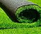 Venture Wholesale Turf in Ventura, CA Landscaping