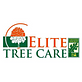 Elite Tree Care in Snohomish, WA Tree & Shrub Transplanting & Removal