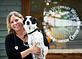 Flathead Veterinary Wellness & Rehabilitation Center in Whitefish, MT Pet Care Services