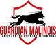 Guardian Malinois in China Spring, TX Pet Boarding & Grooming