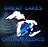 Great Lakes Orthopaedics in Garden City, MI