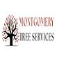 Montgomery Tree Services in Montgomery, AL Tree & Shrub Transplanting & Removal