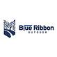 Blue Ribbon Outdoor in Rogers, AR Landscape Contractors & Designers