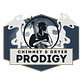 Chimney & Dryer Prodigy in Silver Spring, MD Chimney Cleaning Contractors