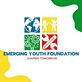 Emerging Youth Foundation in Irving, TX Charitable & Non-Profit Organizations