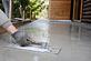 Concrete Contractors in Norwalk, CA 90650