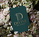 Divine Skin Aesthetics in Commack, NY Day Spas