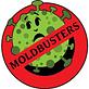 Mold Busters Dallas in Irving, TX Fire & Water Damage Restoration