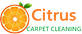 Citrus Carpet Cleaning Suwanee in Suwanee, GA Carpet Rug & Upholstery Cleaners