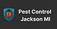 Pest Control Jackson MI in Jackson, MI Pest Control Services