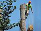 Trinity Tree Service Dayton OH in Dayton, OH Lawn & Tree Service