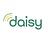 Daisy in Norwalk, CT