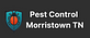 Pest Control Morristown TN in Morristown, TN Pest Control Services