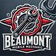 Beaumont Mobile Mechanic in Beaumont, TX Auto Services