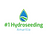 Hydroseeding Amarillo, TX in Bryan, TX
