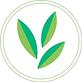 Wheeler Acupuncture & Functional Wellness in Saint Charles, MO Acupressure & Acupuncture Specialists