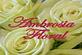 Ambrosia Floral Boutique & Flower Delivery in Ahwatukee Foothills - Phoenix, AZ Florists