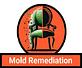 Garland Mold Remediation in Northeast Dallas - Dallas, TX Business Services