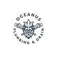 Oceanus Plumbing & Drain in Medina, OH Business Services