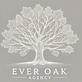 The Everoak Agency in Charleston, IL Web-Site Design, Management & Maintenance Services