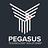 Pegasus Technology Solutions in Frisco, TX