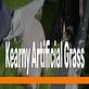 Kearny Artificial Grass in Kearny, NJ Landscaping