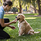 Dog Training Deland, FL in DeLand, FL, FL Animal Training