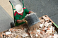 Rolling Hills Junk Removal in Rolling Hills Estates, CA Cleaning Systems & Equipment