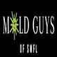 Mold Guys Of SWFL in North Port, FL Water Treatment Service