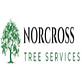 Norcross Tree Services in Norcross, GA Tree & Shrub Transplanting & Removal