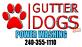 GUTTERDOGS Affordable Soft Power Washing & Safe Roof Cleaning in Forestville, MD Roofing Contractors