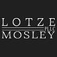 Lotze Mosley PLLC in Washington, DC Legal Professionals