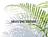 Shelia's Space Solutions,LLC in South Daytona, FL