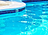 Venice Pool Service in Venice, FL