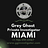 Grey Ghost - Private Investigator Miami in Miami, FL, United States, FL