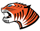 Tiger C Construction, in Chester, VA Construction Services