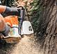 Redding Tree Service in Redding, CA Tree & Shrub Transplanting & Removal