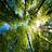 Holistic Solutions in Sarasota, FL